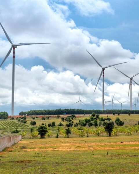 vietnam-quang-nguyen-vinh-222549-14036362